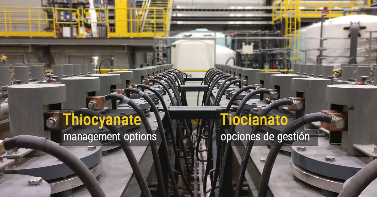 bqewater's tweet photo. Part 2 on our thiocyanate blog series - management options. https://t.co/iNAVhG4D0K

Parte 2 de nuestra serie de blogs sobre tiocianato: opciones de gestión. https://t.co/b59K0N9IF9 https://t.co/4rYdj18hwR