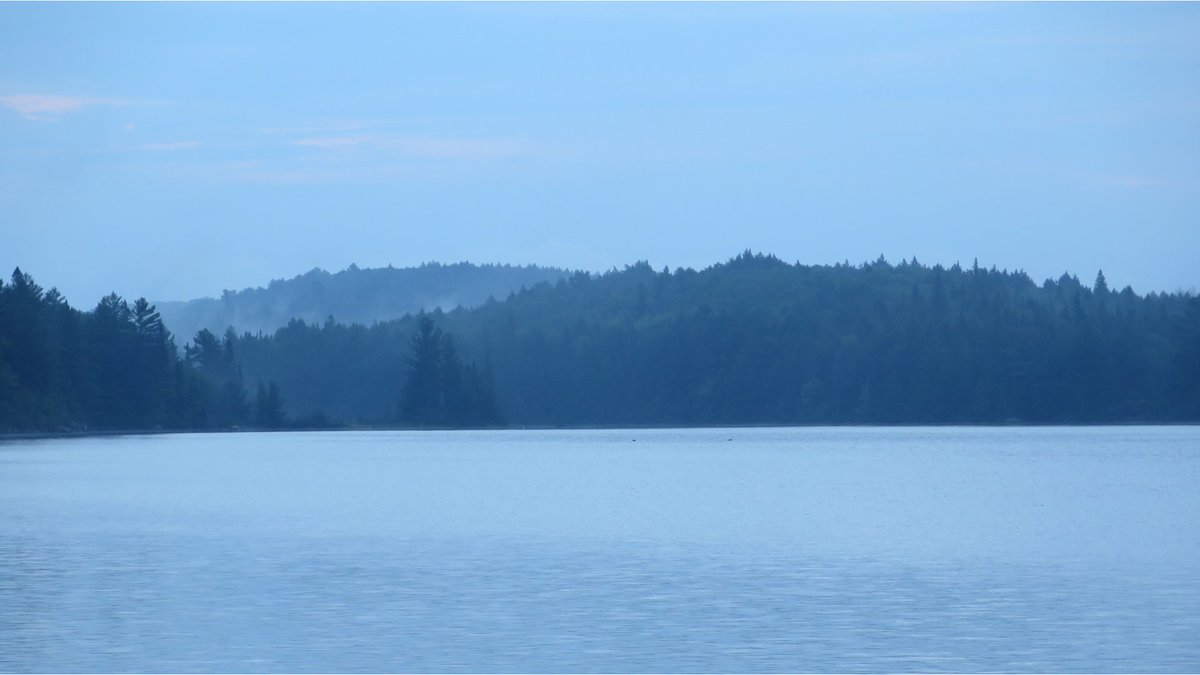 from algonquin park, 2015