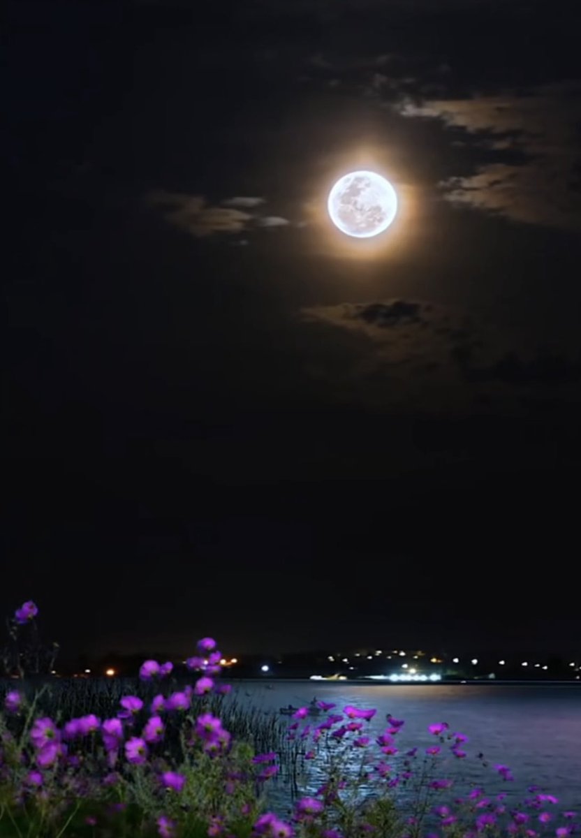 ♡❥ ❥♡
.
.
.
.

               ☆سلامًا على من مر صدفة فاستغفر
فزادني حسنة وزادت حسناته ☆
.
.
.            
.
♡❥ ❥♡