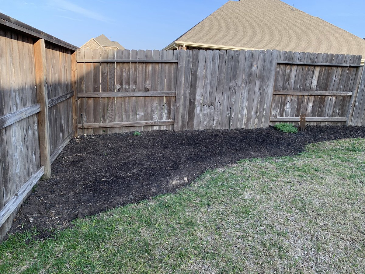 rpaulin_'s tweet photo. After losing pretty much all my plants to the hard freeze (again), I decided to try something different this year. 

I bought a few packets of wildflower seeds and sprinkled them all over my backyard’s flower bed. 

Here’s how it looked 3 weeks ago when I put the seeds in. https://t.co/6bYQ1ocvGr