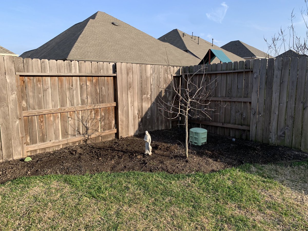 rpaulin_'s tweet photo. After losing pretty much all my plants to the hard freeze (again), I decided to try something different this year. 

I bought a few packets of wildflower seeds and sprinkled them all over my backyard’s flower bed. 

Here’s how it looked 3 weeks ago when I put the seeds in. https://t.co/6bYQ1ocvGr