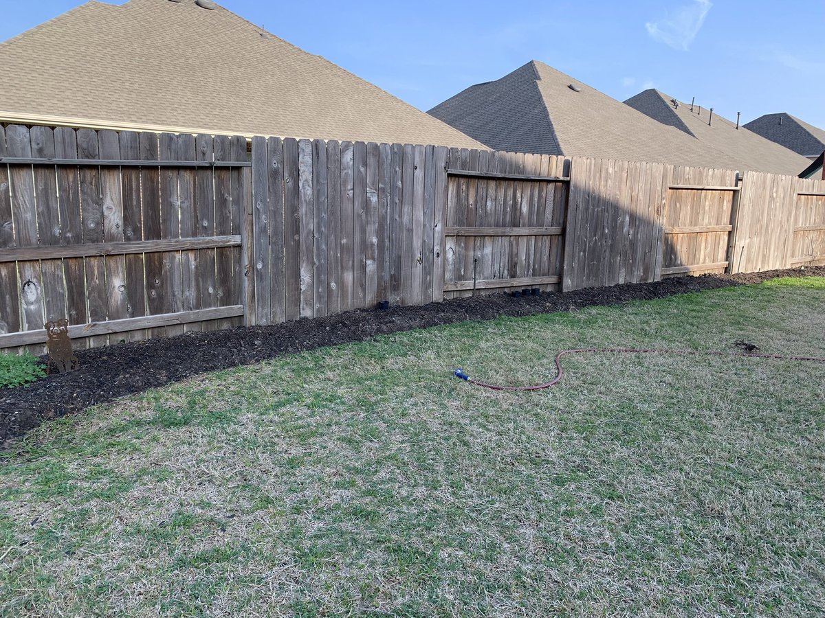 rpaulin_'s tweet photo. After losing pretty much all my plants to the hard freeze (again), I decided to try something different this year. 

I bought a few packets of wildflower seeds and sprinkled them all over my backyard’s flower bed. 

Here’s how it looked 3 weeks ago when I put the seeds in. https://t.co/6bYQ1ocvGr