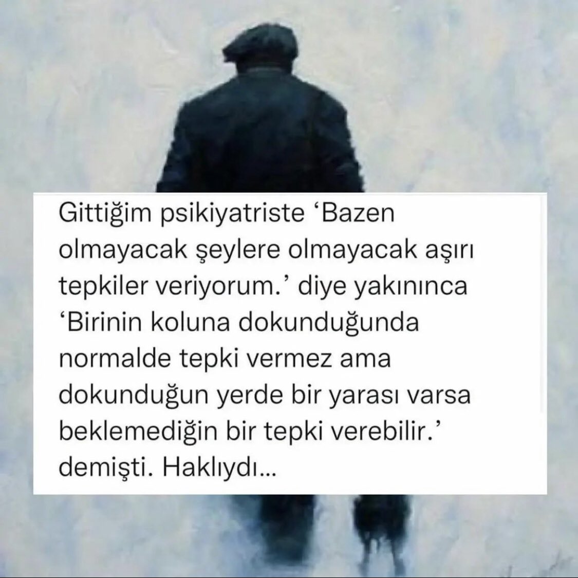 urhansevket's tweet photo. https://t.co/jlYhoHeU5t