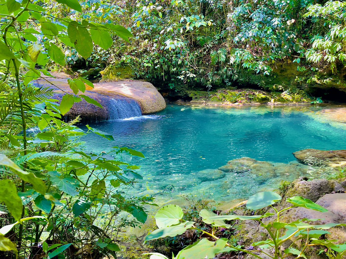 Lenhab1's tweet photo. El nicho. Cienfuegos https://t.co/TuGhHFdVPg