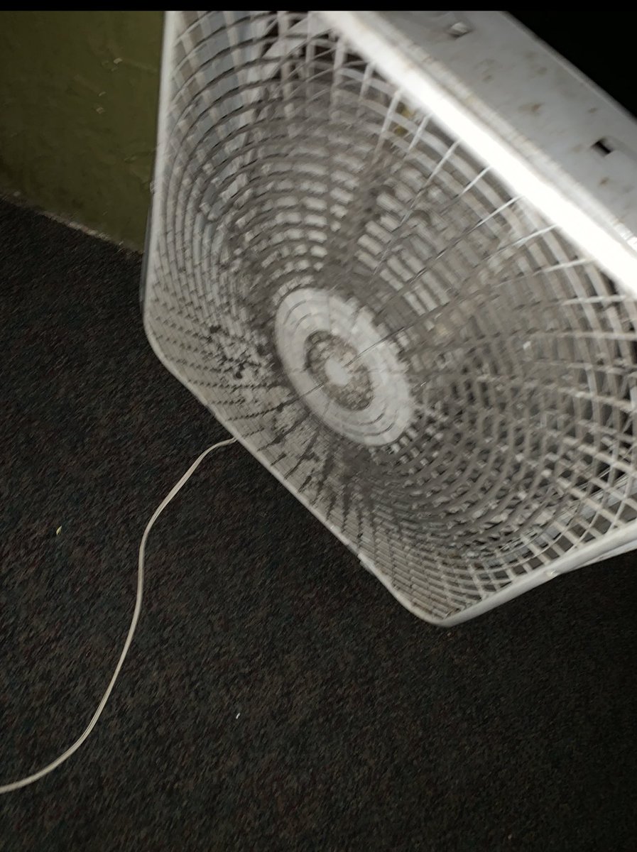 You see this fan at somebody’s house, don’t eat there. You see it somebody’s restaurant…bout to be the best food of ya life