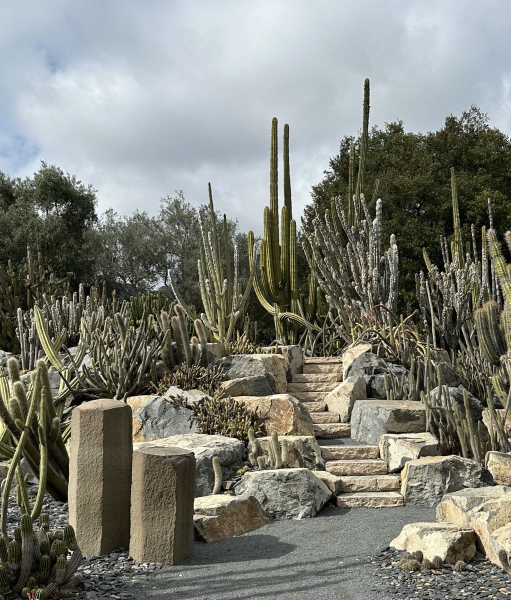 Sue Stuart-Smith 💙 (@suestuartsmith) on Twitter photo Created 50 years ago by opera singer Ganna Walska, Lotusland garden near Santa Barbara is supremely theatrical with tree ferns, cacti and aloes playing the starring roles. Loved visiting yesterday and last talk on my Garden Conservancy book tour is today at <a href="/EbellofLA/">The Ebell of L.A.</a> Created 50 years ago by opera singer Ganna Walska, Lotusland garden near Santa Barbara is supremely theatrical with tree ferns, cacti and aloes playing the starring roles. Loved visiting yesterday and last talk on my Garden Conservancy book tour is today at <a href="/EbellofLA/">The Ebell of L.A.</a>