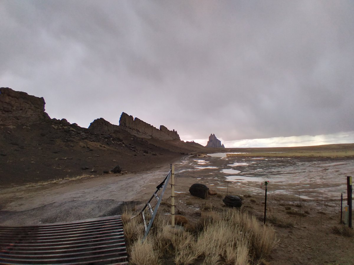 🎄Musescript🎄 tweet media