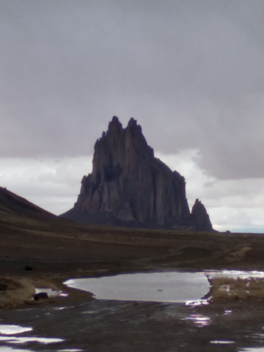 🎄Musescript🎄 tweet media