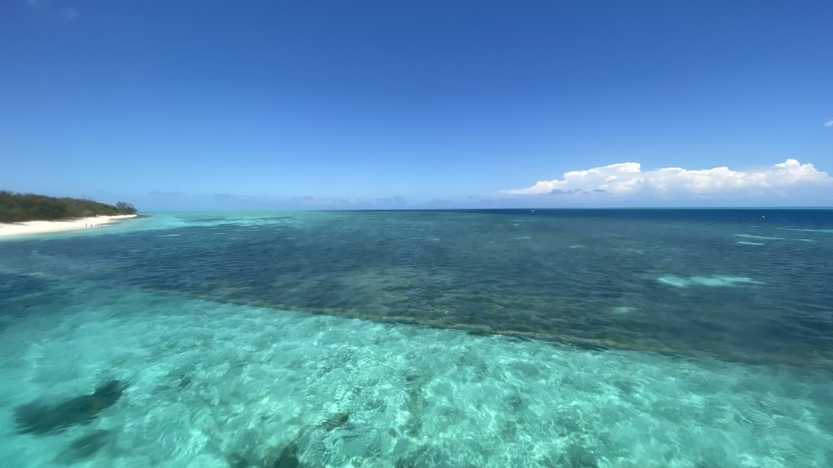 The more you know about coral reefs the better you can take care of it. It was an honour to show and teach 100 UQ Alumni, the @UQ_News VC and @UQscience Dean at @HIRS_UQ and @HeronIsle @RSRC_UQ @UQ_sees @gbrmarinepark the birth place of @Coral_Watch and the @AllenCoralAtlas maps