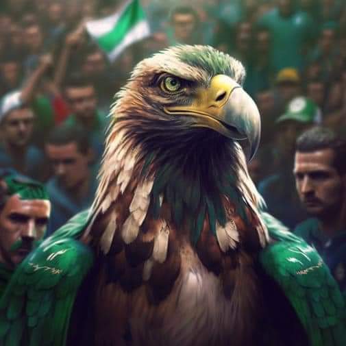 samirkom's tweet image. #الملك_محمد_السادس_أقوى_رجل_فافريقيا