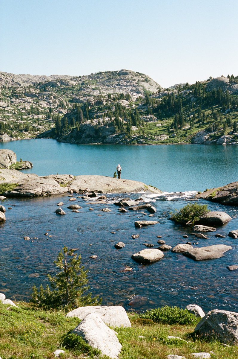 forestoutside's tweet photo. People vs Nature 🎞️ https://t.co/iyCwxB2z5i