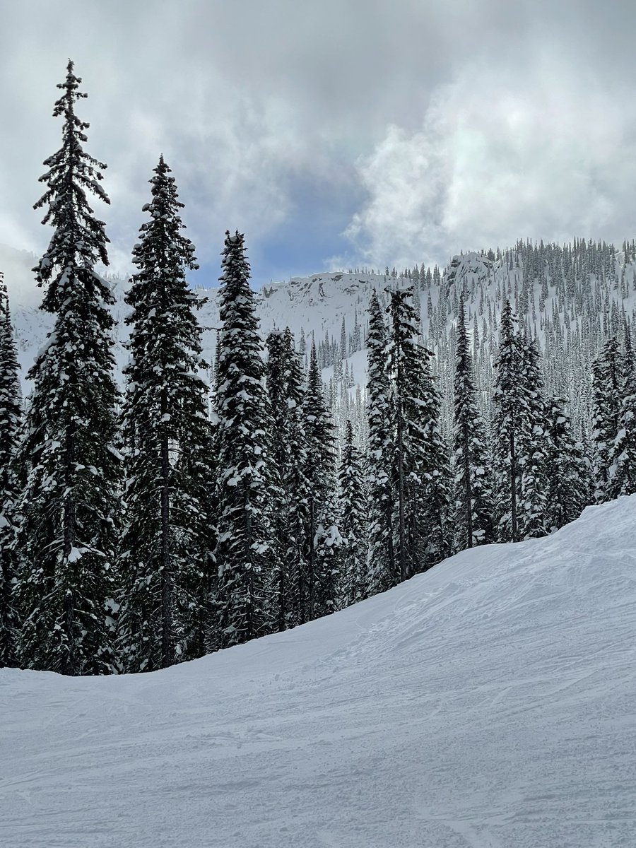 siennaaaxo's tweet photo. @redresort #thegoodlifeatred #redresort https://t.co/jZCxChbizu