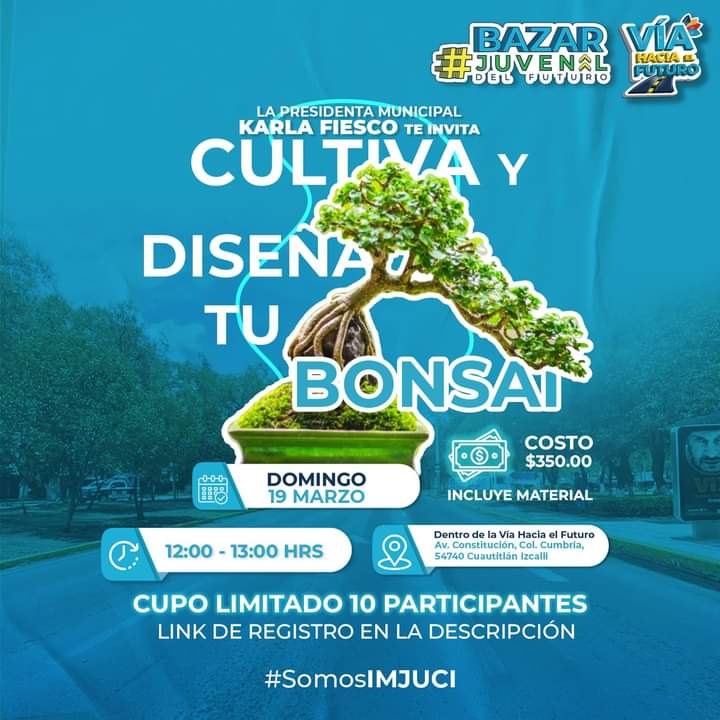 IMJUCI_'s tweet photo. Para todos los amantes de los #bonsais llega a la "Vía Hacia el Futuro" 2️⃣ actividades que podrás disfrutar en familia: 

🌳: Expo de Bonsai 
✂️: Cultiva tu Bonsai
Aprende y disfruta en familia con las diferentes actividades que ofrece el Gobierno Municipal de Cuautitlán Izcalli https://t.co/4WXwX0vMmm
