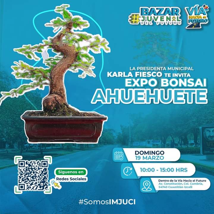Para todos los amantes de los #bonsais llega a la "Vía Hacia el Futuro" 2️⃣ actividades que podrás disfrutar en familia: 

🌳: Expo de Bonsai 
✂️: Cultiva tu Bonsai
Aprende y disfruta en familia con las diferentes actividades que ofrece el Gobierno Municipal de Cuautitlán Izcalli