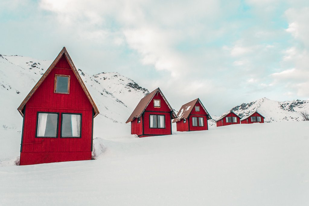 Cherith Brook tweet media