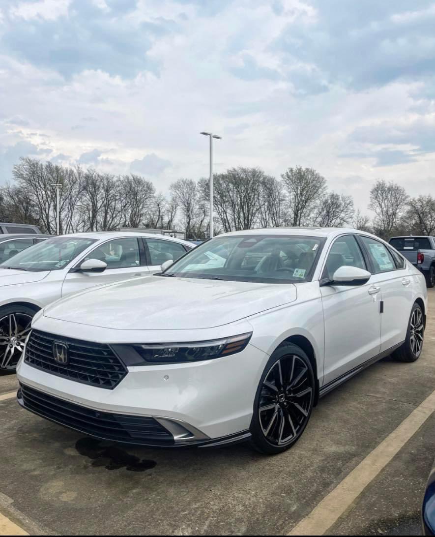 Thomas Zenter tweet media