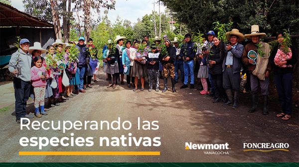 FoncreagroCaj's tweet photo. A través del programa “Huella Verde”, nos sumamos a la recuperación de algunas especies nativas de Cajamarca que se encuentran en peligro de extinción; por ello iniciamos la instalación del Capulí en nuestro ámbito. (⅓) https://t.co/9oZrApoQfr