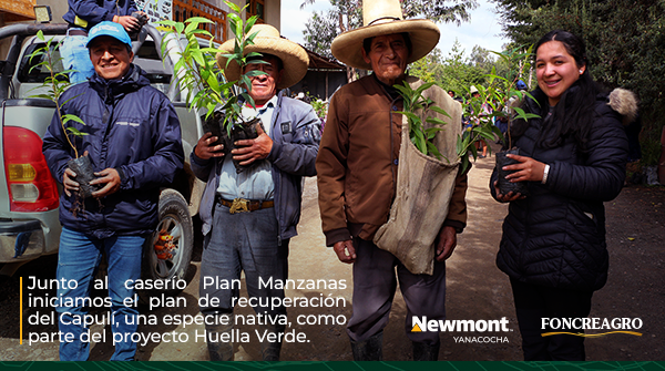 FoncreagroCaj's tweet photo. Hace poco, estuvimos presentes en el caserío Plan Manzanas, en Cajamarca, lugar con altitud, clima y condiciones del suelo favorables para el desarrollo de esta especie. (2/3) https://t.co/NZgmTn5TgQ