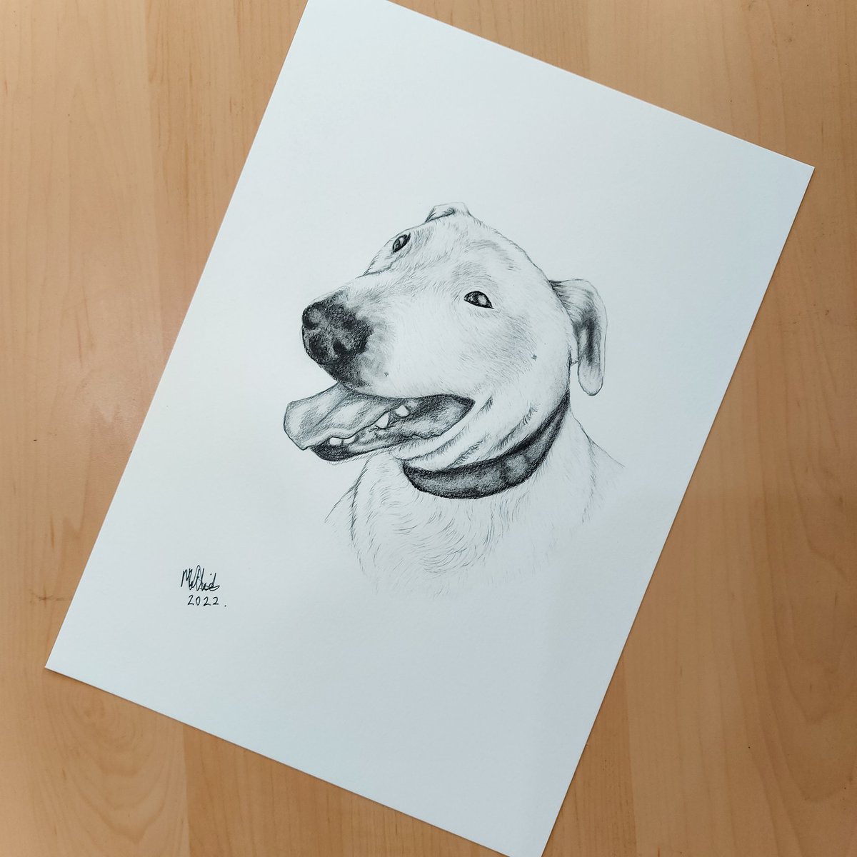 Throwback to this sweet commission from last year 😍

Message me for a custom quote or order through my Etsy store 

MILLIEMACDOUGALLART.ETSY.COM

-

#PortraitArt #PortraitArtist #PetPortrait #PetPortraitArtist #PencilDrawing #Hobbycraft #Artist #Artwork #Art #Etsy #Commission