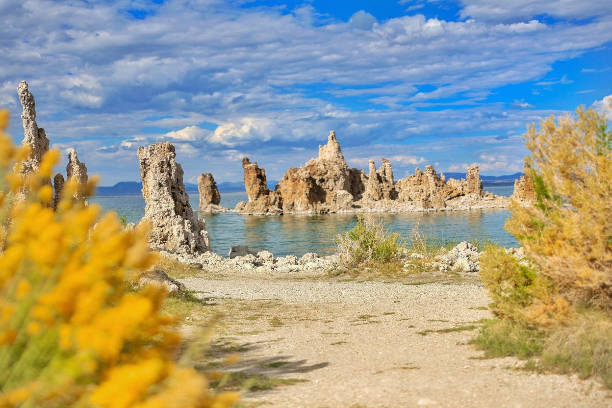 Crystal_l_Cook's tweet photo. Mono Lake, CA. 
Taken August 2022 with my Canon R6 paired with my Canon 28-70mm lens. 

@CanonUSA
 
#Canon #photography #nature #beauty #fypシ #outdoors #NaturePhotography #CanonFavPic https://t.co/xQ6vC8CZcu