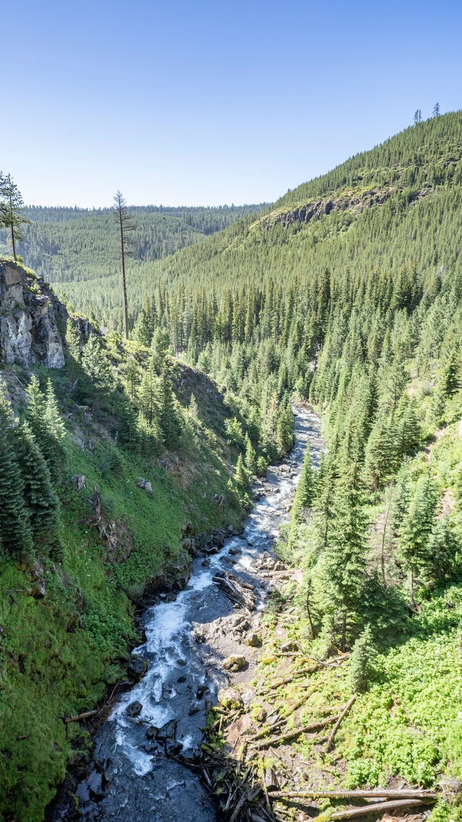 neverduskys's tweet photo. Tumalo Falls Loop
Deschutes National Forest 
Oregon https://t.co/fwU6OoEmoZ