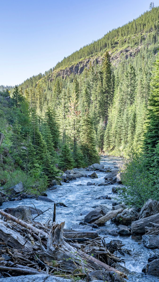 neverduskys's tweet photo. Tumalo Falls Loop
Deschutes National Forest 
Oregon https://t.co/fwU6OoEmoZ