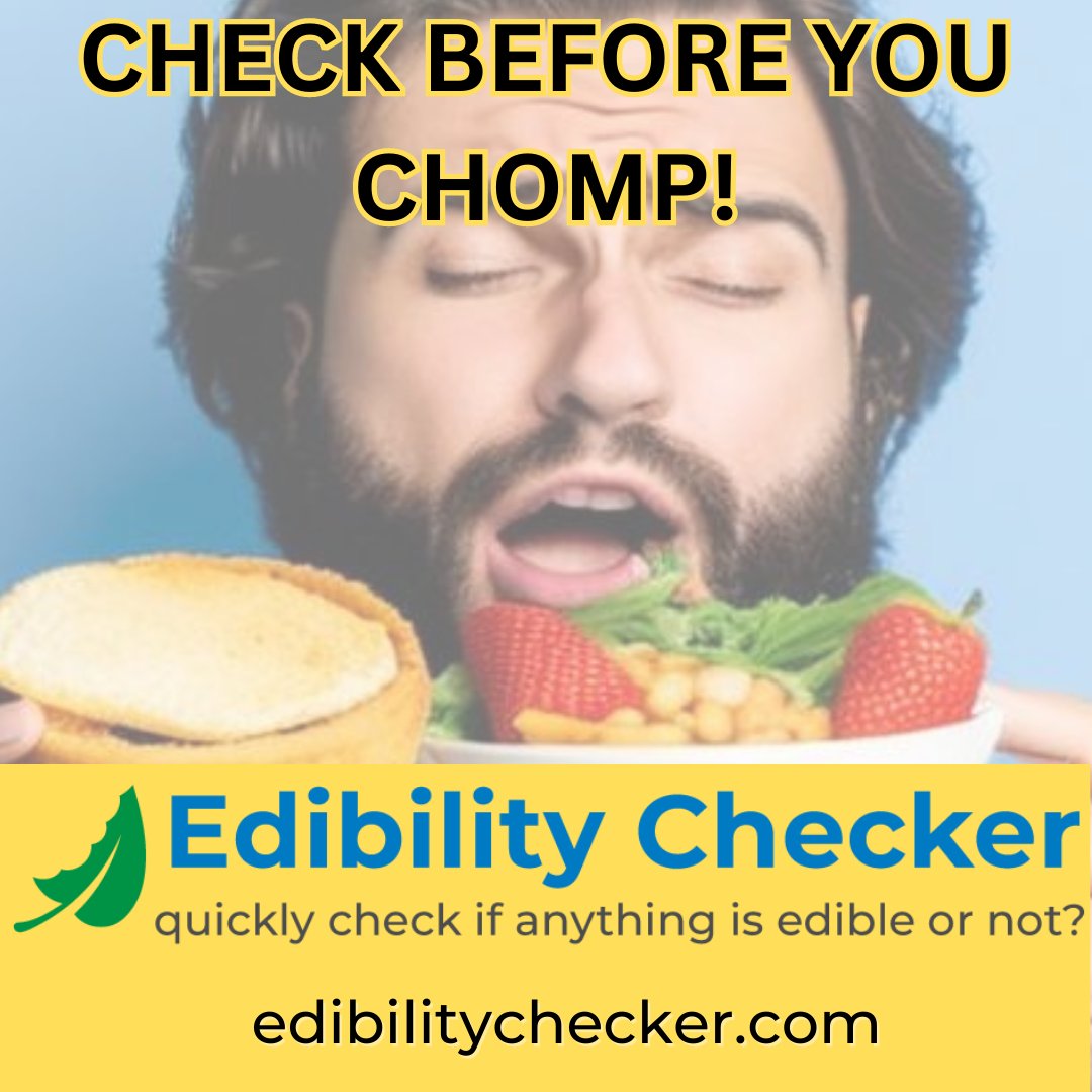 Before taking a bite 🍴, make sure it's alright! 🤔 

Use Edibility Checker to avoid allergic reactions and digestive issues. 🚫🤢 

#FoodSafety #KnowWhatYouEat #EdibleOrNot #HealthyEating #SafeEating #FoodKnowledge #FoodAllergens #FoodToxins #Foodies #AIforGood #FoodTech #openai