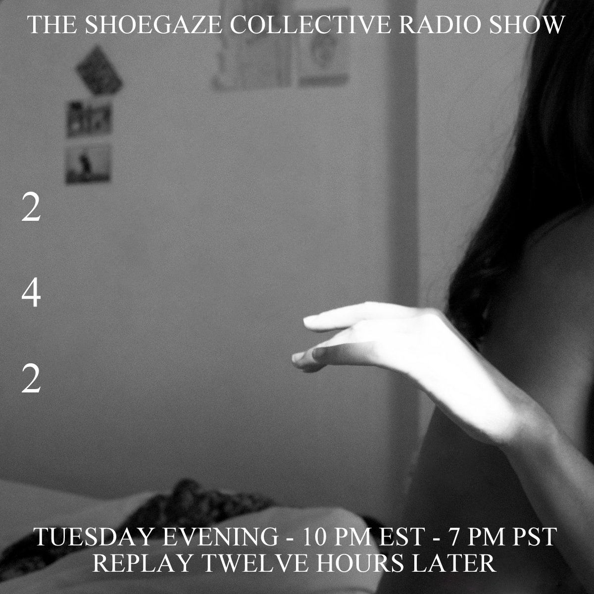 TShoegazeCollective tweet media