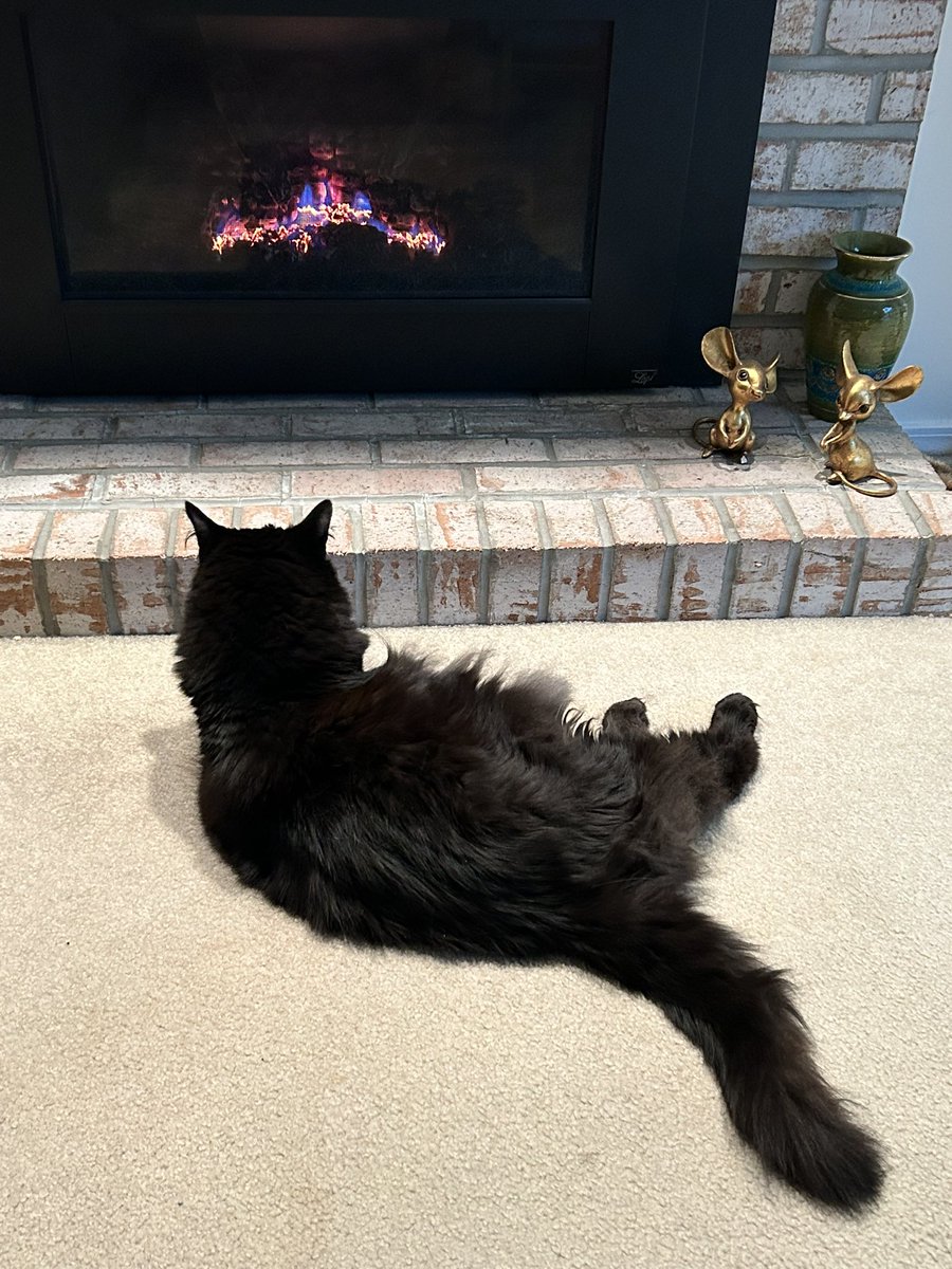 zaneykitty's tweet photo. https://t.co/WXxWoSnMw4