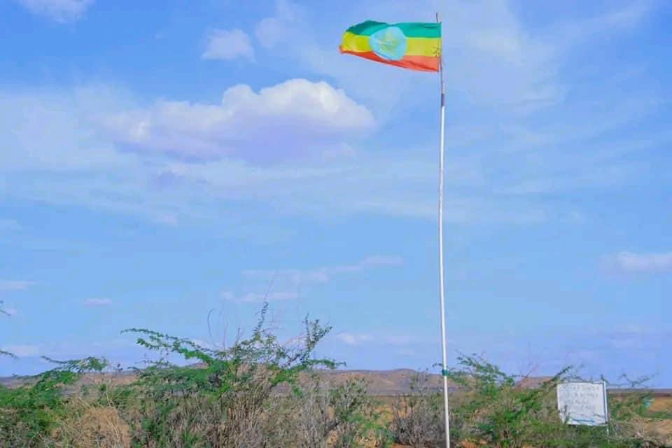 እምንተማመንበት ነገር ሁሉ እያጣን ነው። በርግጠኝነት ክህደት የተፈፀመብን እየመሰለኝ ነው። አሁን የማንኛውን ሙህራናችንን አስተያየት መጠበቅ እንዳለብኝ ባላቅም፣ ግን ስላለንበት ወቅታዊ ሁኔታ ማብራሪያ የሚሰጠንን ሰው ዝም ብየ እየጠበኩ ነው።