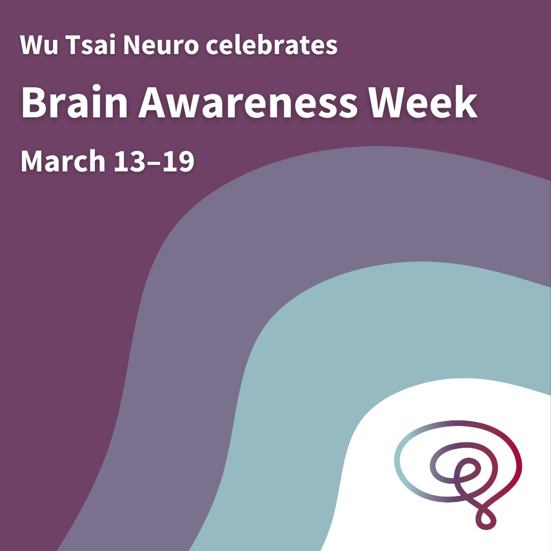 StanfordBrain's tweet image. Happy #BrainAwarenessWeek! 

To start #BrainWeek, we would like to thank the #WuTsaiNeuro community for advancing our understanding of the human brain, both in health and disease.