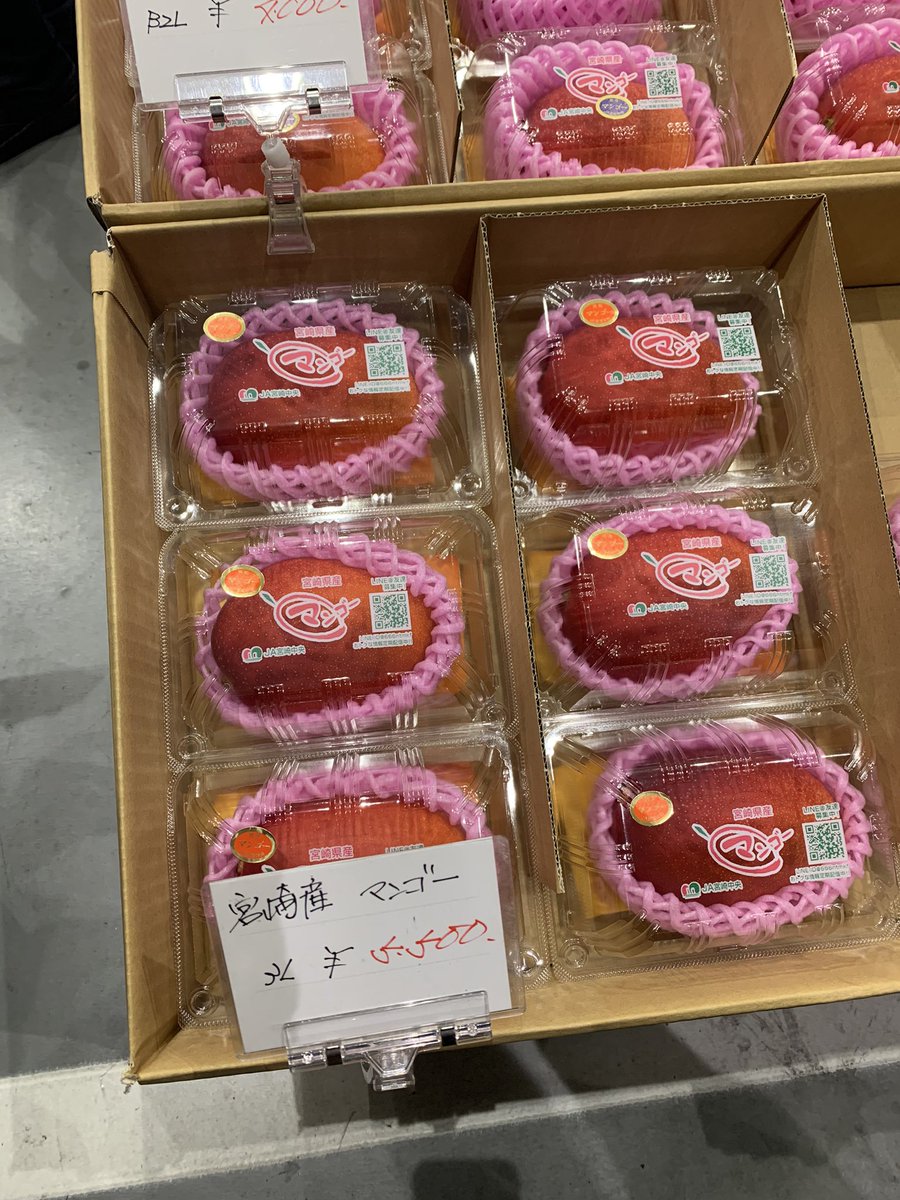 aliciarockwell's tweet photo. Great morning at Tokyo Wholesale Market with CAJAPAN2023 Trade Mission Ag delegation with @agsecross  #trade #fruit #vegetables https://t.co/9lynGmzPCF