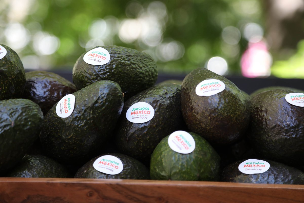 HalfBakedMediaX's tweet image. RT @MOMITFORWARD A20: JUST LOOK, WHAT’S NOT TO LOVE!  #ad #gno #SparkTheGood #SXSW PLS RT