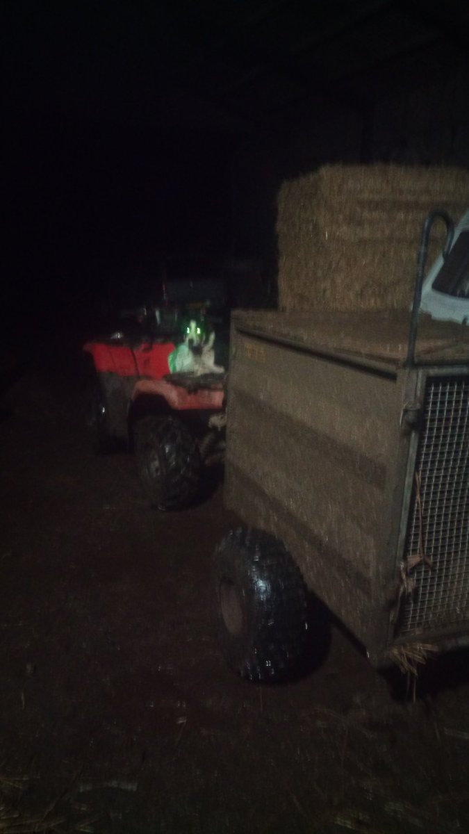 Lambing outside can be very rewarding and challenging sometimes. We have had every kind of weather thrown at us the last few days wind ,rain ,snow , sleet but tonight for a change the sky is beautiful and  full of stars. Lucky we've only started lambing!
