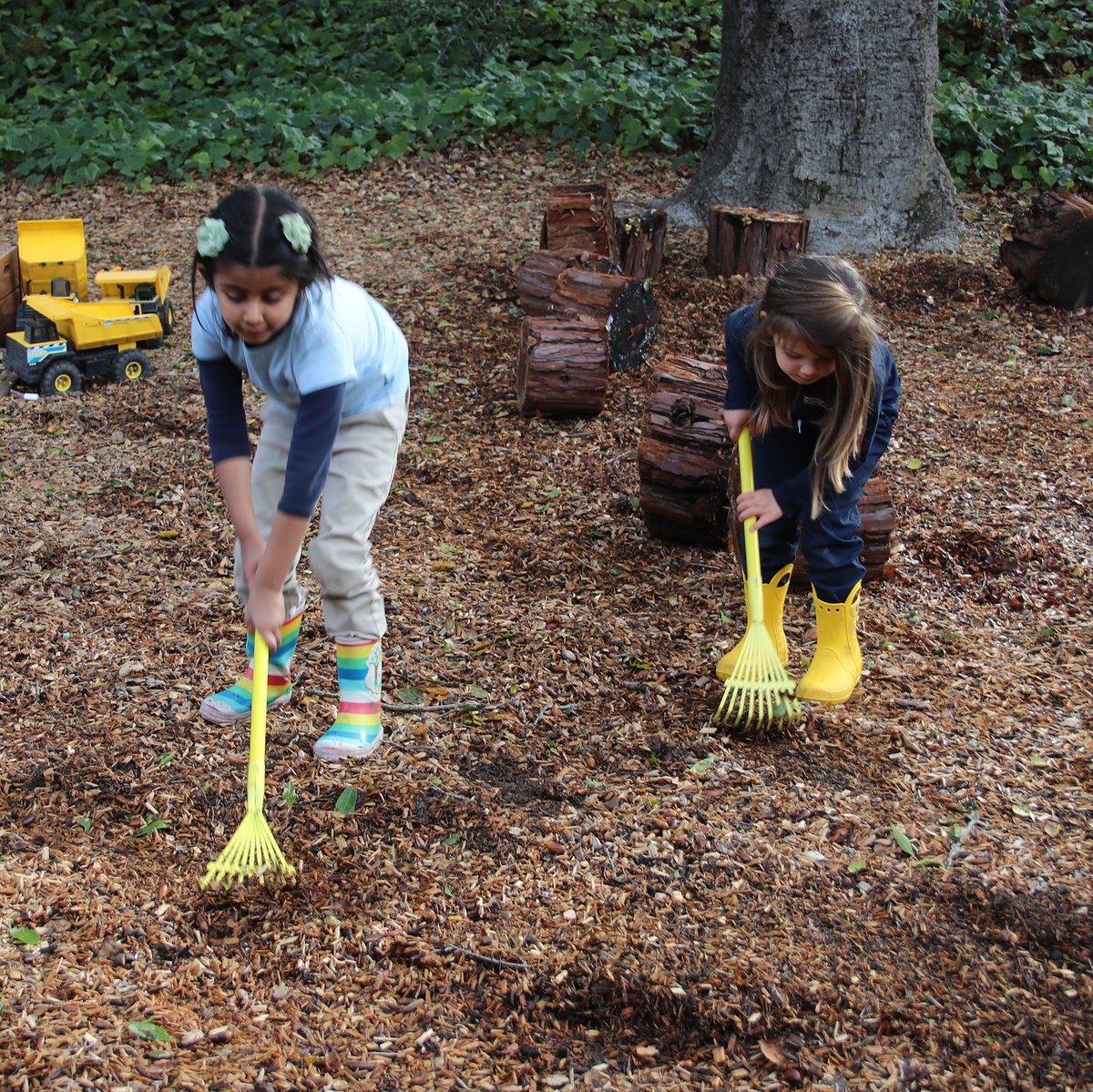 WoodlandPK8's tweet image. In between atmospheric rivers, our early childhood students are taking advantage of the sun by doing a bit of raking to air out the tanbark! #preschool #prek #raking #bigmovements #workingtogether