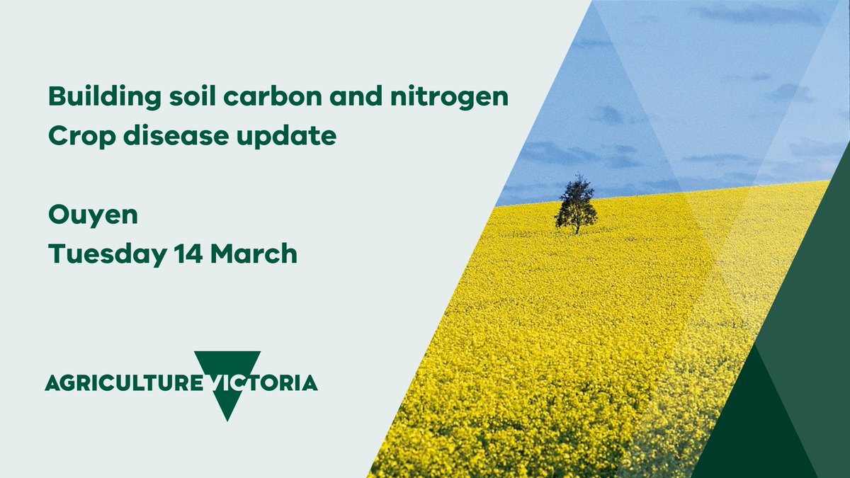 VicGovAg's tweet photo. Our #SoilCarbon workshops in #Ouyen #Brim #Stawell and Lake #Bolac are on this week. Join us today at 12.30 pm in the Ouyen Club. Meet Mark Farrell #biogeochemist from @CSIRO to learn practical strategies for rebuilding #soil #carbon and #nitrogen stocks. @AgTwitter #aussiefarms https://t.co/QqMBSUg89h