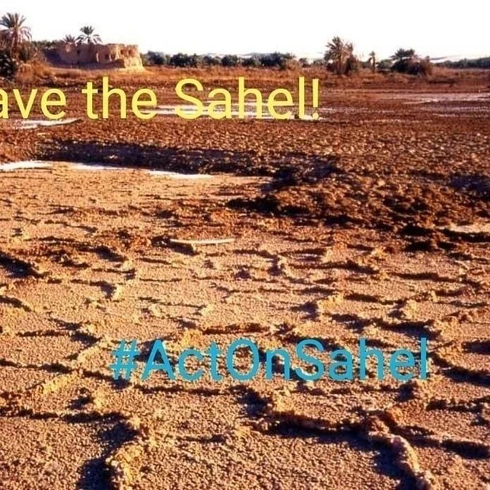 Endel Stamberg #FightFor1Point5 tweet media