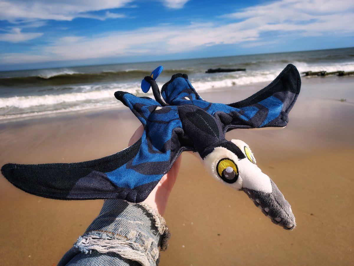Pteroterror's tweet photo. There are two things good in life. One is ✨Cute Pterosaurs✨ second 🎉giveaways🎉

Guess what. We're doing both. Enter our raffle to win a cuddly. Just:

1️⃣ retweet &amp; follow both @WryCritic and @littlesofts 😉
2️⃣ comment with your favorite paleo 🦖 creature for extra chance https://t.co/ecgiWyjs1v