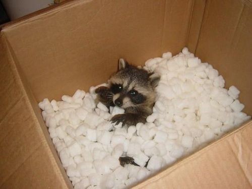 สวัสดีครับ​ มีพัสดุมาส่ง​ โปรดเซ็นต์​รับด้วยค้าบ <a href="/tonystarkppotts/">ANTHONY E. STARK 🍔</a>