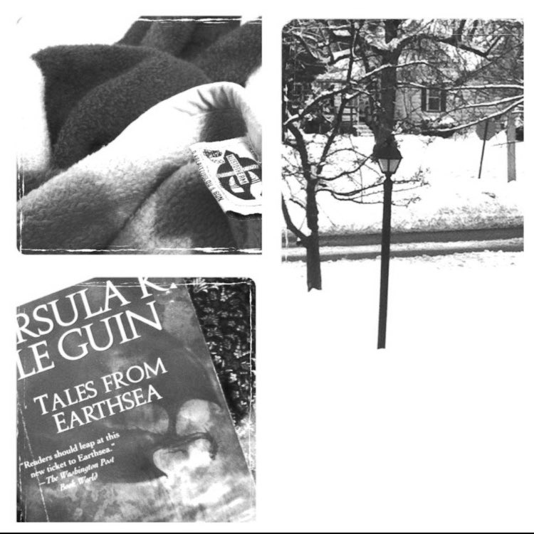 #snowtweets #oldsnowphotos #earthsea #ursulakleguin #windowice