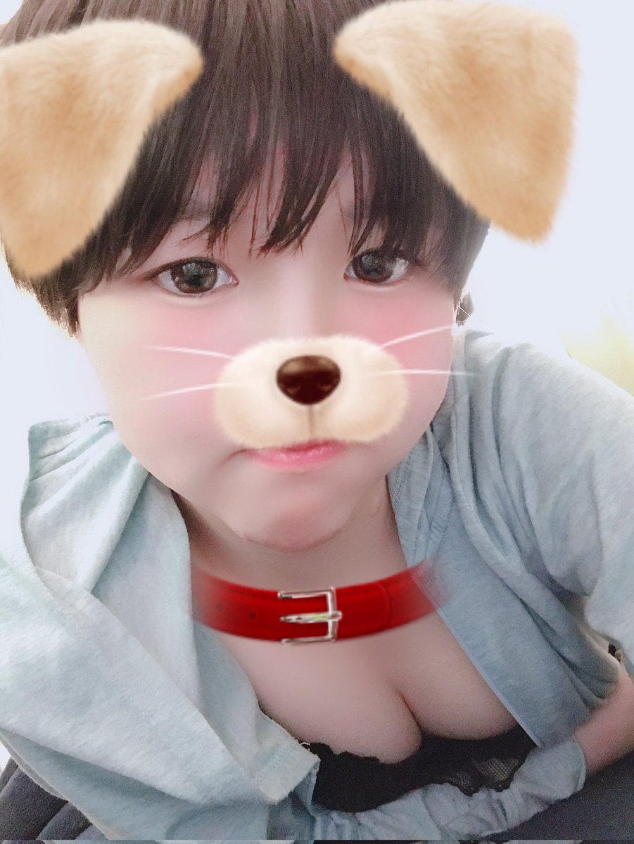 yo_c47's tweet photo. @etsu_eve SJK
飼い主募集中です

#裏アカ女子 #裏アカ男子と繋がりたい https://t.co/EjZyP1bb1k