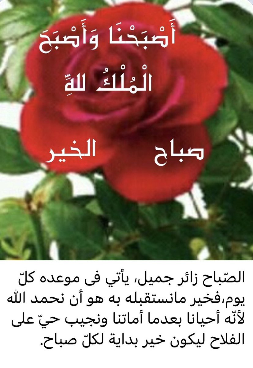 #صباح_الخيرᅠ
