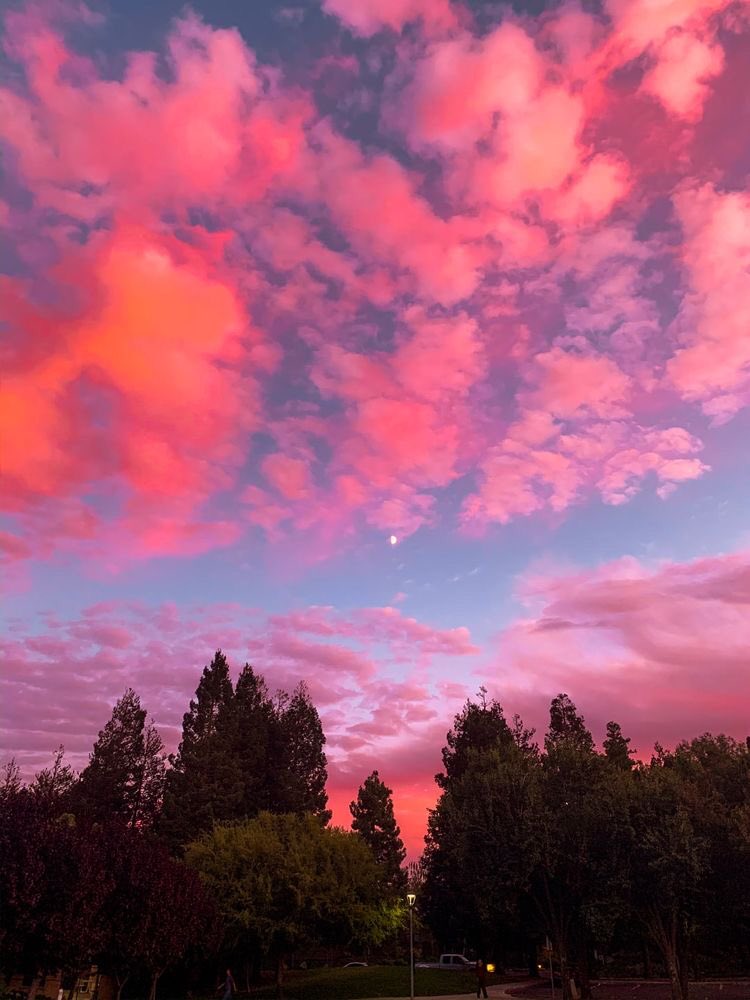 violettweets_'s tweet photo. pink skies. https://t.co/haKcdzxfPi