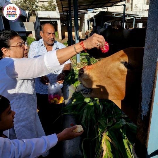 AYSGIndia's tweet photo. Our team #jamnagar visited gaushala and provided 180Kg Jaggery and 45 sacks of Fodder for cows
📌 Shree Jamnagar Panjrapol
DM to join us
#aysg #jamnagar #panjrapole #cowshelter #jeevdaya #compassion #oneteamonedream #spreadingcoloursofhumanity https://t.co/AaCifKil8h