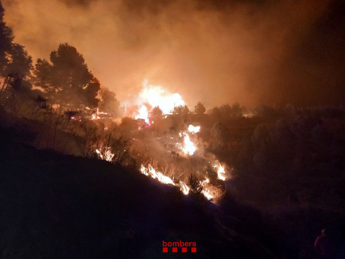 🔥🚒 Incendi de vegetació entre la Selva del Camp i Vilaplana. Avís a les 2.38 h

Afecta massa forestal propera a la zona del Garramell.

Foc a contravent amb accessibilitat molt dificultosa

15 dotacions #bomberscat, entre les quals #GRAF, treballant-hi bàsicament al flanc dret