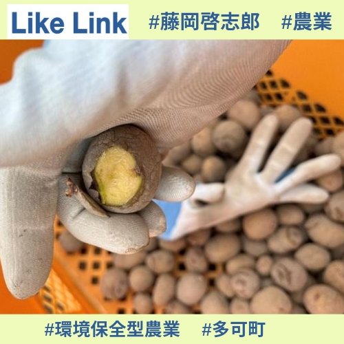 LikeLink350's tweet photo. 『農業の世界｡』#藤岡農場 #���岡啓志郎
🔻新着記事
じゃがいも植え付け🥔🌱
https://t.co/fJZThZ1lC6

#LikeLink #ライクリンク #多可町 #野菜 #地域おこし #町おこし #地域町おこし #じゃがいも #植え付け #農業 #野菜作り #無農薬 #有機JAS #農家さんと繋がりたい #環境保全型農業 #環境保全 https://t.co/ERdI7V3zil