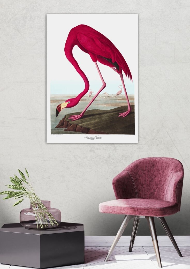 Flamingo art antique prints Bird art print Nature print art print poster French art print Victorian art Garden Wall Decor cottage art etsy.me/3FnIyzU #unframed #bedroom #animal #vertical #antiqueprints #birdprint #artprintposter #natureprint #frenchartprint