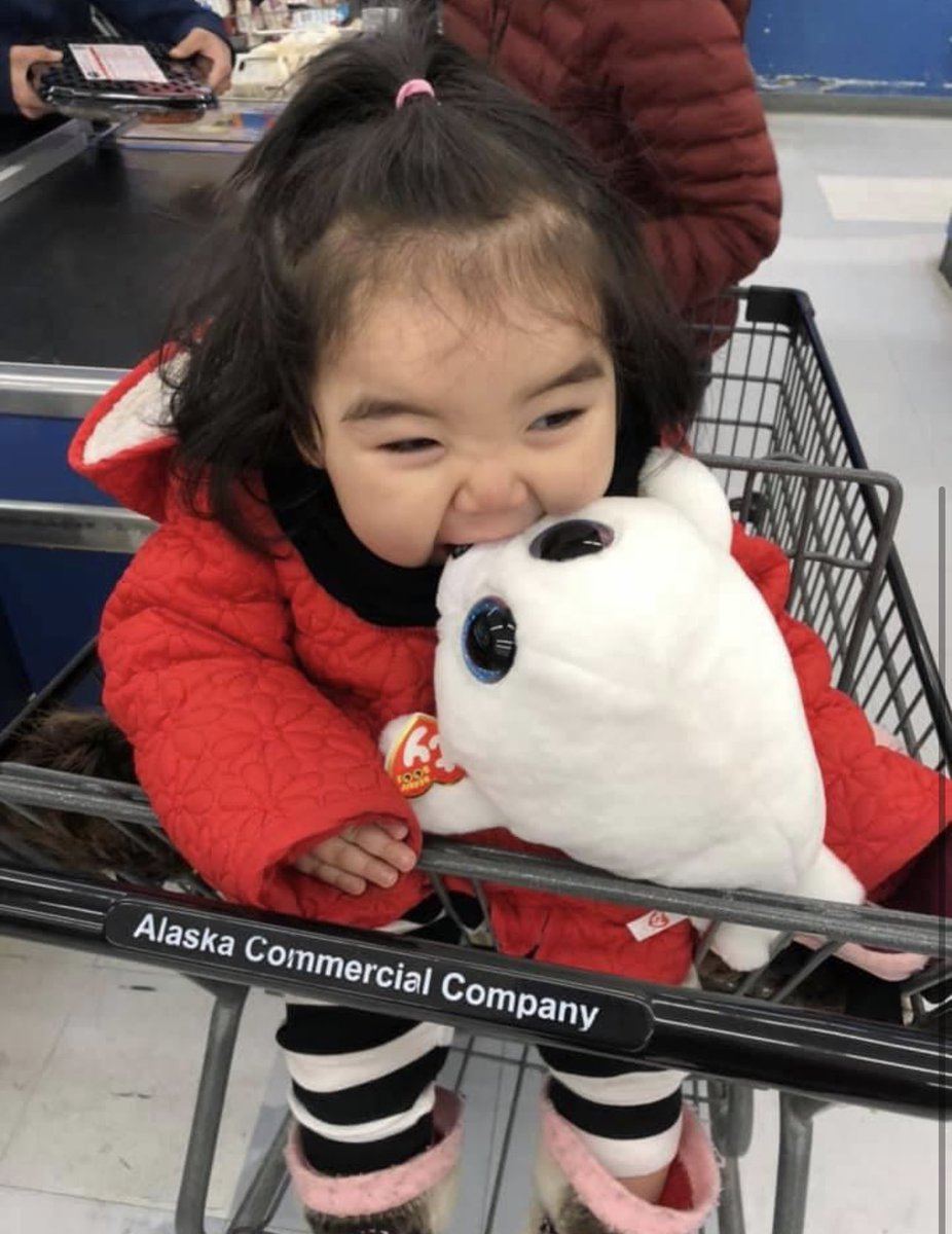 jacquiiwithacue's tweet photo. Nobody: 
Iñuit when they see seals: https://t.co/u7emuP4fmu