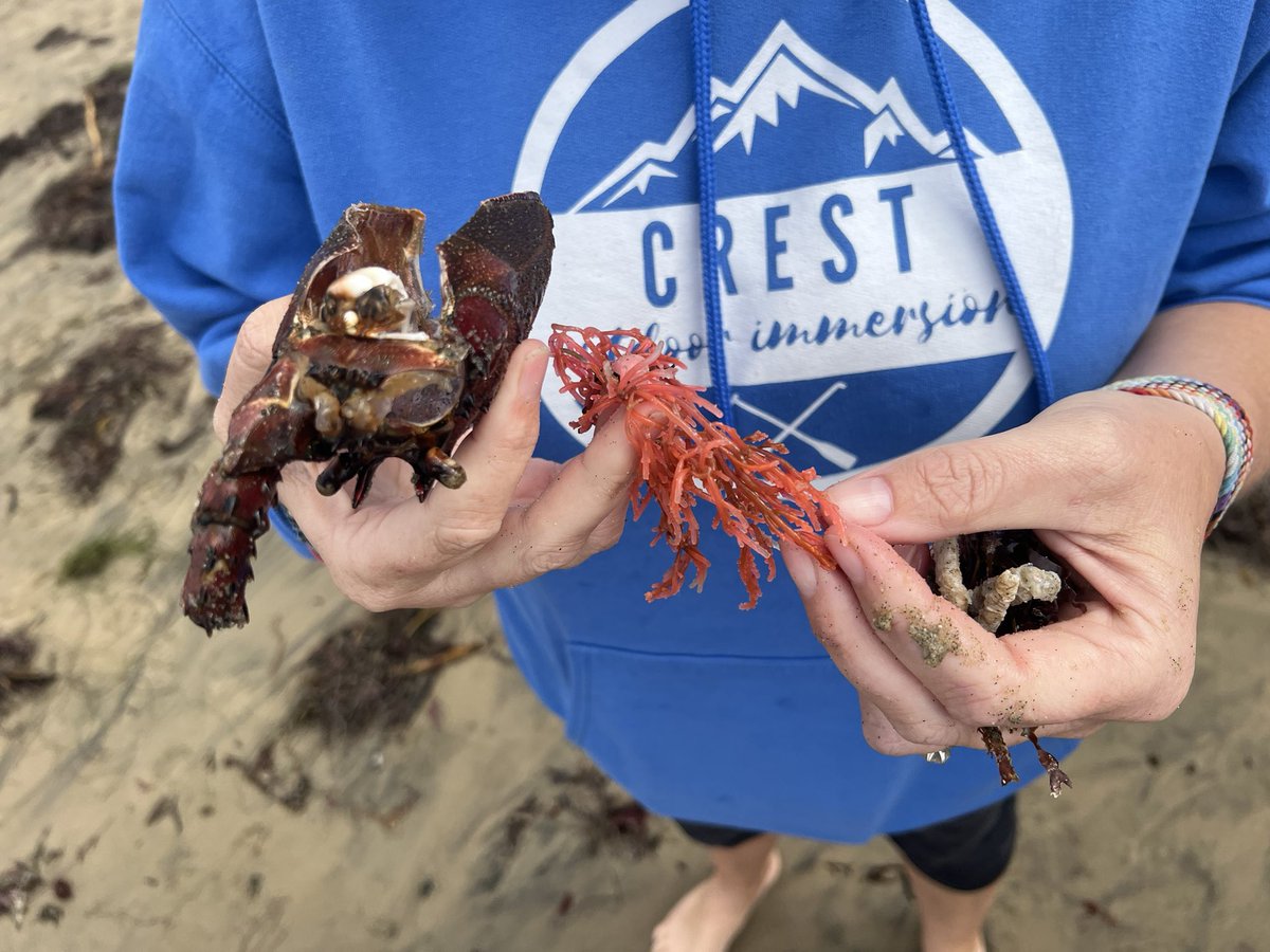 Crest Outdoor Immersion tweet media