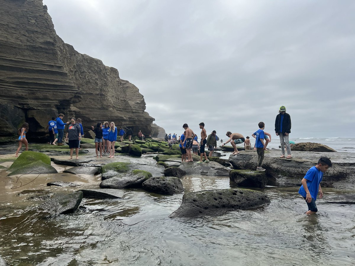 Crest Outdoor Immersion tweet media